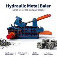 Presse à balles hydraulique horizontale 280T pour le recyclage des métaux ferreux, de l'acier et de l'aluminium
