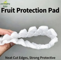 Exportkwaliteit EPE schuimgaasplaat fruitbeschermende kussenmat groothandel