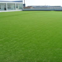 Gazon Artificiel Haut de Gamme pour Extérieur, Pelouse de Football Haute Densité, Imperméable et Ignifuge, pour Intérieur et Extérieur