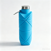 Bouteille d'eau pliable en silicone réutilisable, bouteille de sport pliable avec bouchon en acier inoxydable pour les voyages en plein air, le camping, OEM ODM