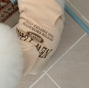 Yavru Pet giyim sevimli spor köpek Hoodie köpek kostümleri T-Shirt ceket - Product Image 4