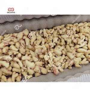 Tự Động Khô Kẹo Gừng Khô Và Máy Cắt Nghệ Gừng Khô Và Máy Chế Biến - Product Image 3