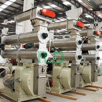 Machine automatique de fabrication de granulés d'aliments pour poulets Rongda 3-4 t/h pour l'alimentation animale à vendre