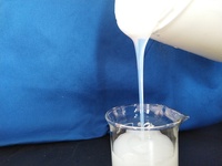 Dispersion de copolymère acrylique styrène aqueux liquide, liant émulsion pour revêtements muraux intérieurs et extérieurs