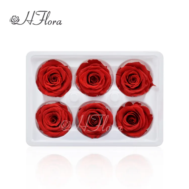 Fashion Attractive Design 6 Heads Rose Preserved Rose Bud 5~6 cm for Christmas Valentines Gift