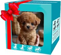 2026 Neue Bunte Geschenkbox-Verpackung Roboterhund Welpen Realistische Roboter-Hunde für Erwachsene und Kinder Geschenk