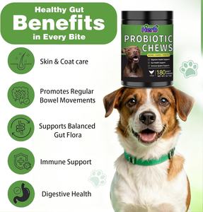 Suplementos Probióticos para la Salud de las Mascotas de Marca Privada OEM/ODM, Probióticos Masticables para Perros, Favorecen la Salud Intestinal, Suplemento para Perros - Product Image 2