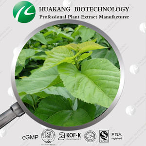 Bubuk ekstrak daun murbei baru 100% Natural Food Grade <span class=keywords><strong>Damiana</strong></span> ekstrak Herbal pasokan 10 bubuk ekstrak daun Ulberry - Product Image 4