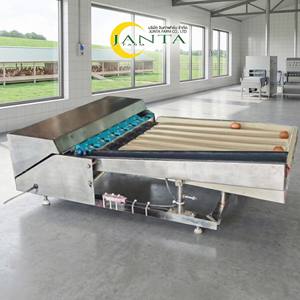 เครื่องคัดแยกไข่แบบลูกตุ้ม 2000 ฟองต่อชั่วโมง ดีไซน์กะทัดรัด สแตนเลส คัดแยกอัตโนมัติ - Product Image 4