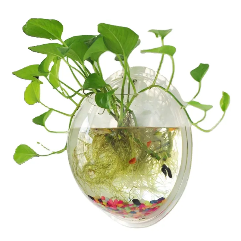 Mur personnalisé bulle de poisson mur suspendu bol transparent acrylique Vase fleur plante Pot Aquarium