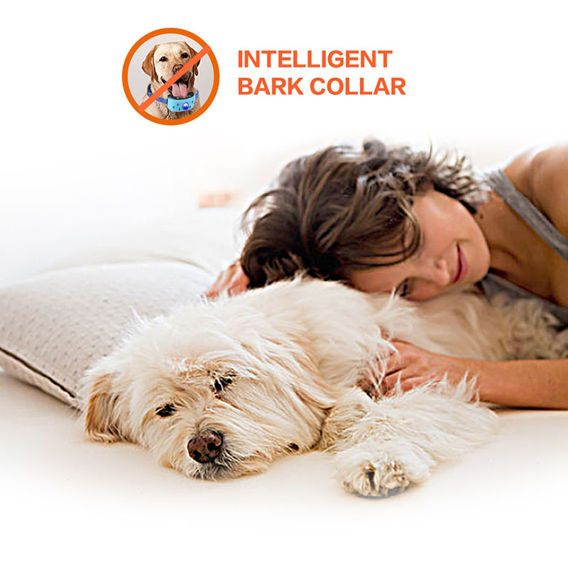 Voice Anti Bark Collar Electronic Dog Bark Control Collar with Static Shock | OEM/ODM Model B530A