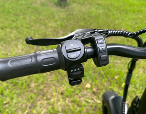 Bicicleta Eléctrica <span class=keywords><strong>DOOK</strong></span> 2025, 20 * 4.0 Pulgadas, Batería de Litio de 48V750W, Tubo Inferior, Neumáticos Gruesos para Nieve - Product Image 3