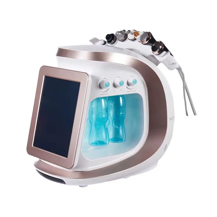 Smart Ice Blue II Système de gestion de la peau hydro machine d'élimination et de soin des rides du visage