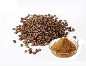 Extrait de graines de Cassia |   Anthraquinones 2%~98% |   Emodin |   Jue Ming Zi en vrac personnalisable, soutien visuel et métabolique, rapports 10:1 et 20:1 - Product Image 2