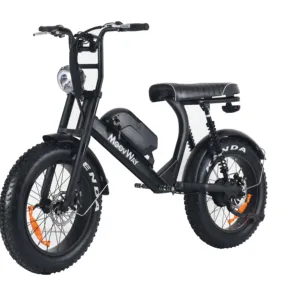 20 Inch 20inch Tire 250w Folding E Bike Ebike Boy Fat Bicycle Electric