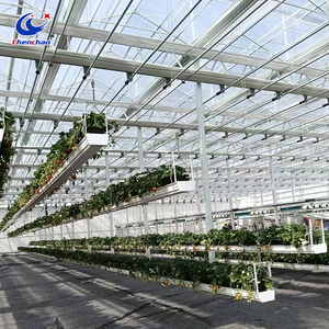 Système de culture de <span class=keywords><strong>fraises</strong></span> vertical avec gouttière relevable, gouttière hydroponique pour ferme et serre - Product Image 2