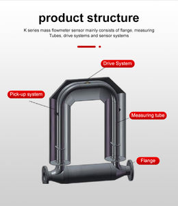 프롤린 프로마스 300 코리올리 질량 유량계 (물, 가스, 오일, 액체, 공기용) 맞춤형 OEM 지원 - Product Image 5