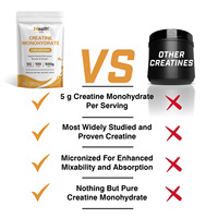 OEM Hot Selling Creatine Monohydrate Poeder voor Volwassenen Pre-Workout Spiergroei & Energiebeheer 500g