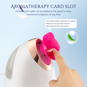 Face Spa Stoom <span class=keywords><strong>Home</strong></span> Cool Draagbare Gezichtsstomer Multifunctionele Gezichtsmassage Met Stoomboot Volledige <span class=keywords><strong>Machine</strong></span> - Product Image 2