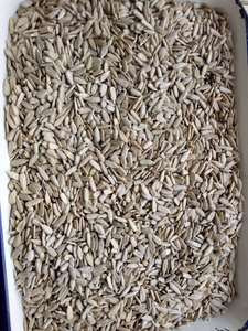 Semi di girasole Mongolia semi di semi di girasole semi di girasole - Product Image 6