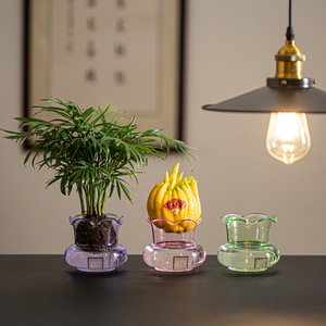 Vase créatif en verre pour plantes aquatiques avec fruits de citron bergamote et de courge, conteneur hydroponique de bureau pour le Nouvel An chinois - Product Image 1