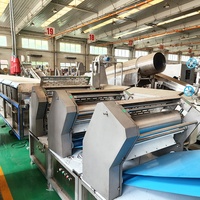 Machine automatique de fabrication de nouilles fraîches à base de pommes de terre / Équipement industriel de production de nouilles humides à base de patates douces / Ligne de production de nouilles à base d'amidon