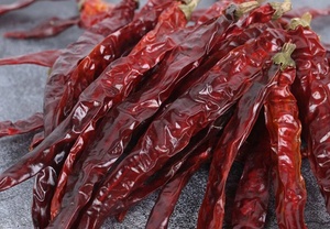 Nuove colture xiao <span class=keywords><strong>mi</strong></span> <span class=keywords><strong>la</strong></span> qi xing jiao peperoncino rosso essiccato piccante piccante peperoncino rosso essiccato naturale - Product Image 2
