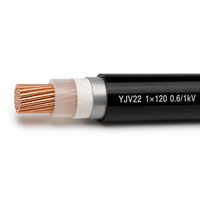 Câble d'alimentation YJV22 CU/XLPE/STA/PVC 1*120 0,6/1kV, conducteur en cuivre, blindage en bande d'acier, gaine en PVC, norme IEC
