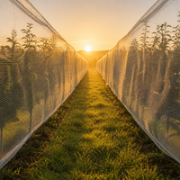 Anti-insectennet voor fruitbomen Witte plantenbeschermingsnetten Ademende tuinafdekking voor groenten, boomgaard, kas