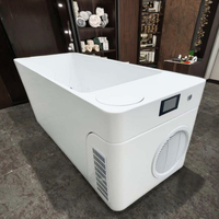 Wifi Cold Plunge Sports Recovery Acrylique Massage Glace Baignoire Eau Chaude et Froide Thérapie Tout en Plunge Froid avec Refroidisseur 1 hp