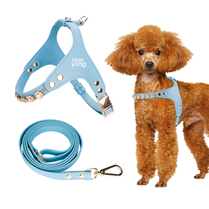 Set Harnesses Anjing Mewah Bergaya Kartun Sport dari Factory Pet Supplier, Pola Solid yang Dapat Dipersonalisasi, Tali Kulit PU Anti Air, Mudah Digunakan - Product Image 4