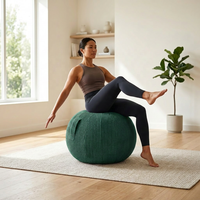 Housse de ballon de Pilates en velours côtelé de 65 cm avec poignée de transport, manchon amovible pour ballon d'exercice, logo personnalisé, fabricant d'usine