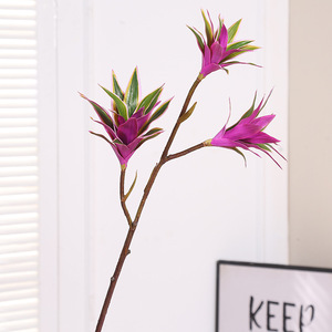 Branche artificielle de <span class=keywords><strong>Dracaena</strong></span> Reflexa 85 cm, tige de lys en bambou artificiel, plante tropicale artificielle verte et violette variée pour la décoration de la maison et des mariages - Product Image 6