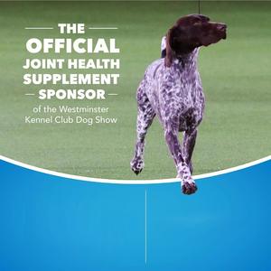 Logo privé suppléments de soins de santé pour animaux de compagnie capsule souple pour articulations pour réduire l'inflammation soulage la douleur - Product Image 4