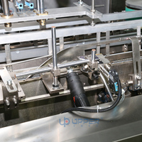 Mamul Noyer jujube pâte gâteau carton boîte machine à emballer biscuits Maamoul tarte machine à cartonner horizontale