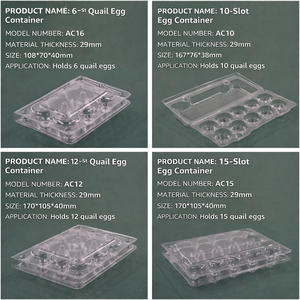 Boîte d'emballage jetable en plastique PET transparent pour œufs de <span class=keywords><strong>caille</strong></span>, plateau en plastique transparent à 6, 8, 10, 12, 15, 18, 20, 24, 30 alvéoles pour œufs de <span class=keywords><strong>caille</strong></span> géants - Product Image 6