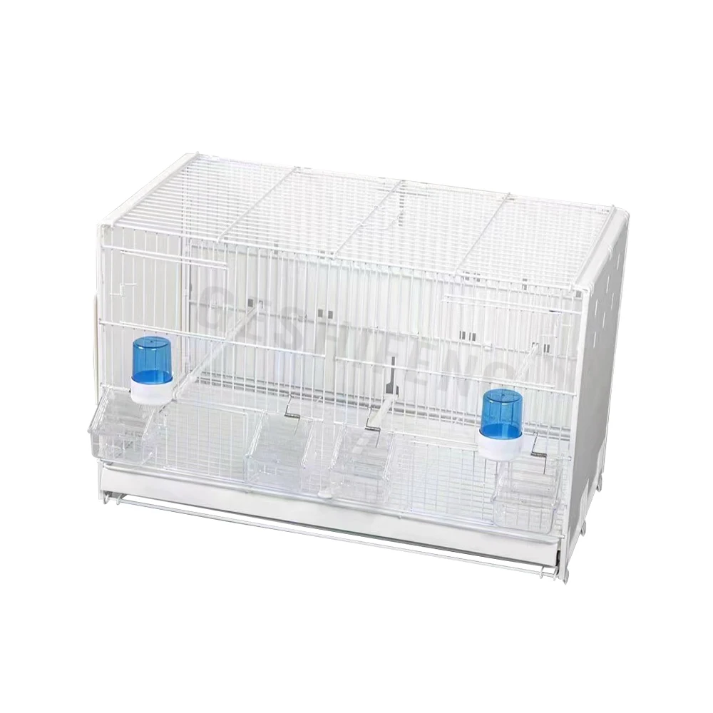 canary bird cage paper