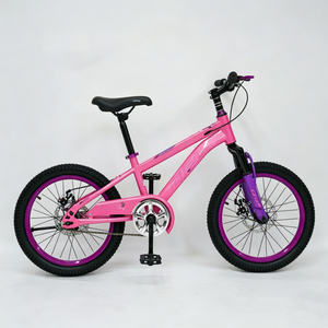 Vélo Enfant Nouveau Style 2026 en Acier Carbone Haute Performance pour Garçons et Filles – Disponible en Gris, <span class=keywords><strong>Bleu</strong></span>, Blanc, Rose - Product Image 2
