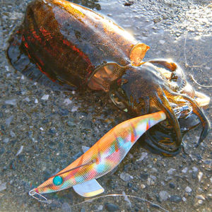 Señuelo de Pesca Original YAMASHITA Squid Jig <span class=keywords><strong>EGI</strong></span> <span class=keywords><strong>SUTTE</strong></span> R Serie N, Venta al por Mayor, para Pescar Zander y Bagre 1.5 #   1.8 #   2.2 #   3.0 #   Señuelos para Calamar - Product Image 6