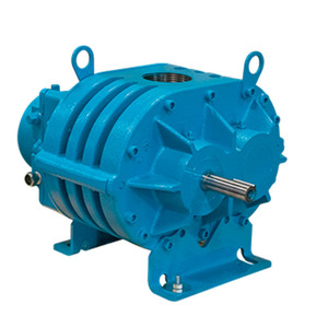 เครื่องเป่าลมแบบหมุน MD Pneumatics รุ่น CP Series แบบดิสเพลสเมนต์เชิงบวก ทำจากเหล็กหล่อ ความเร็ว 1725 รอบต่อนาที แรงดันต่ำ ใช้ลม - Product Image 5