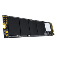 SSD M.2 NVMe Interne Haute Vitesse 256 Go/512 Go/1 To pour PC Portable et Ordinateur de Bureau