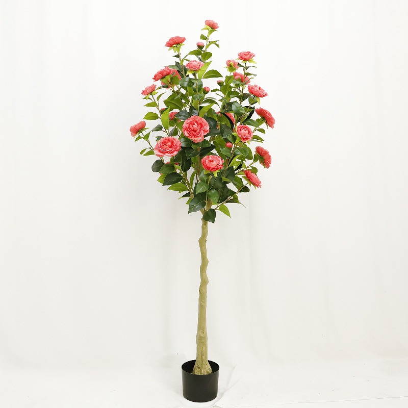 150cm rose red