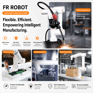 Nuevo Brazo Robótico de 6 Ejes FR 10 de Fábrica Directa bibo, Capacidad de 10 kg con Controlador PLC para Soldadura y Pulido - Product Image 2