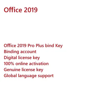 Ms 2019 Professional Plus Bind Key 1 PC PP Genuine Retail License Code 100% Online Activation Lifetime Online Ali Chat