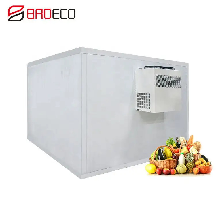 小型冷蔵庫ユニットブラストフリーザーチラー冷蔵庫商業冷蔵室貯蔵価格果物肉用