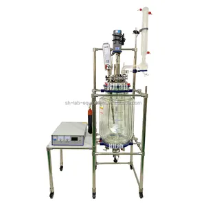 Tổng Hợp Hóa Học DOUBLE JACKETED GLASS REACTOR Với Phân Tán Siêu Âm Và Khớp Nối Từ Khuấy Niêm Phong