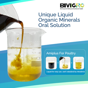 Amiplus Amino Asit Şelatlı Organik Çoklu Mineral Kompleksi Kanatlı Tavuklar, Broiler ve Yumurtacı Tavuklar için Oral Solüsyon Takviyesi - Product Image 2