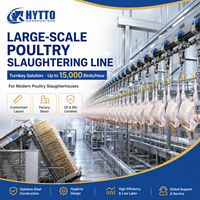 Équipement d'abattage de poulets de grande capacité pour une utilisation fiable capable de produire 2000 à 15000 poulets par heure avec certification CE