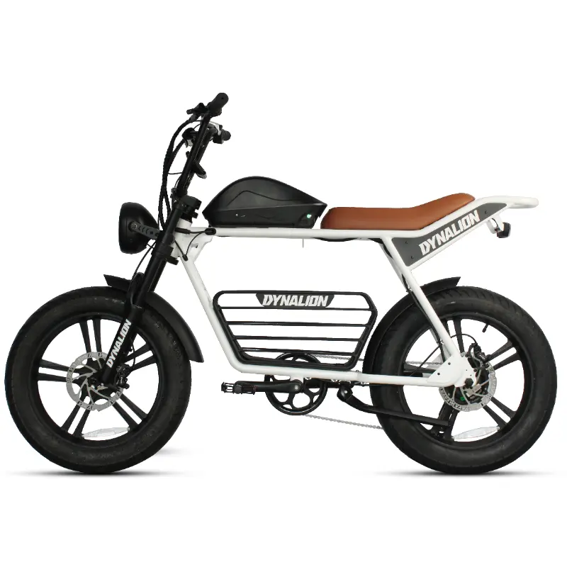 DYNALION produttore 48v 1000w ODM/OEM Sport a buon mercato Mtb E-Bike Dirt Fat pneumatico Ebike E Bike Mountain Bike bici elettrica ibrida