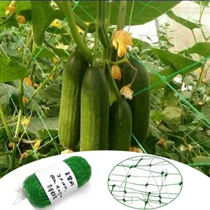 つる植物、果物つる野菜のためのトレリスネット植物サポートネット